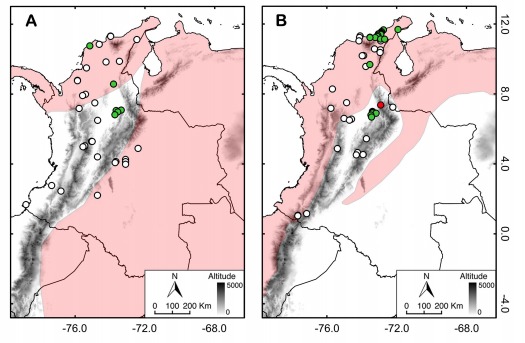 Predicted distributions of two poorly known small carnivores in Colombia: the greater grison and striped hog-nosed skunk