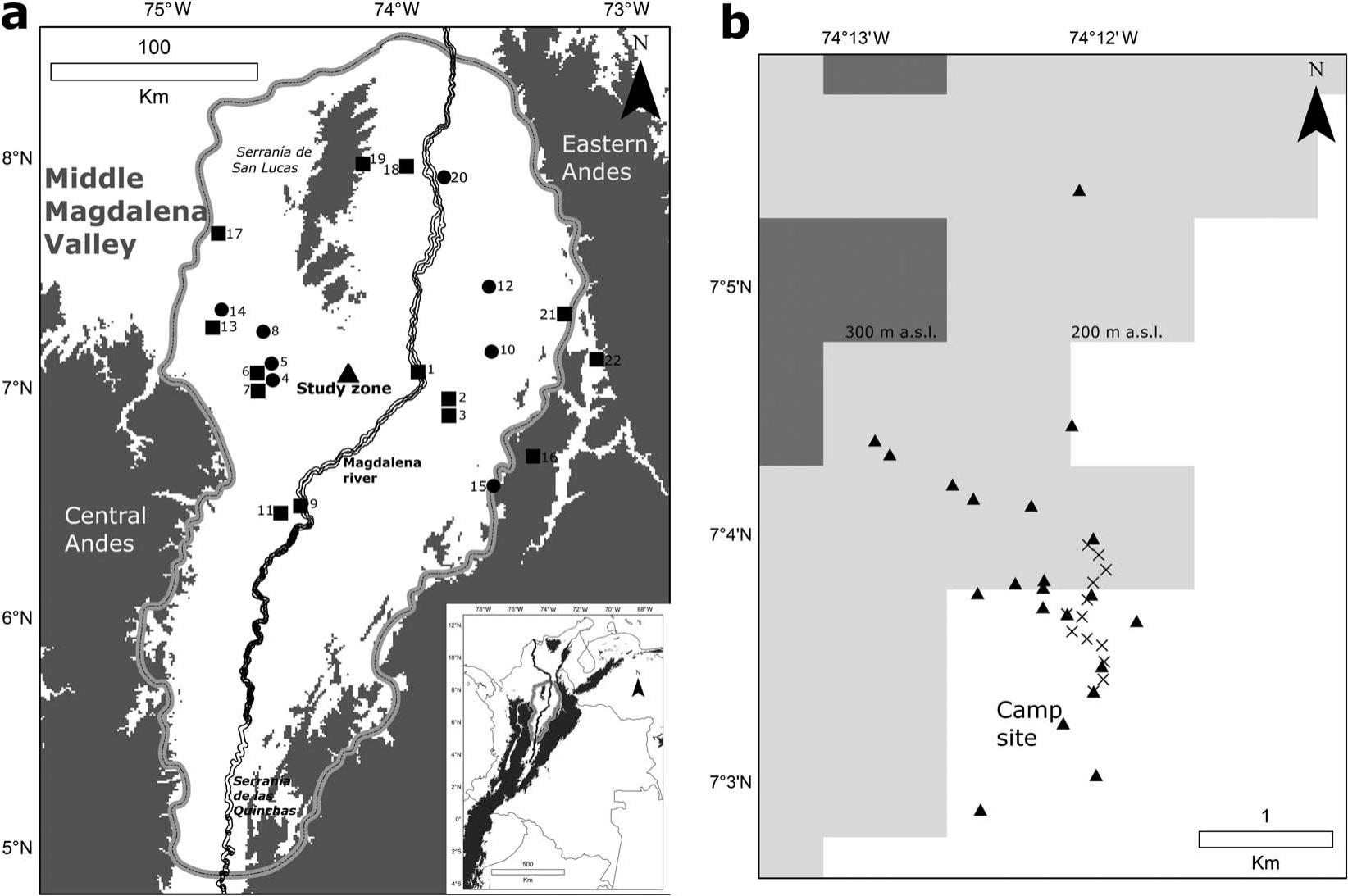 New voucher specimens and tissue samples from an avifaunal survey of the Middle Magdalena Valley of Bolívar, Colombia, bridge geographical and temporal gaps