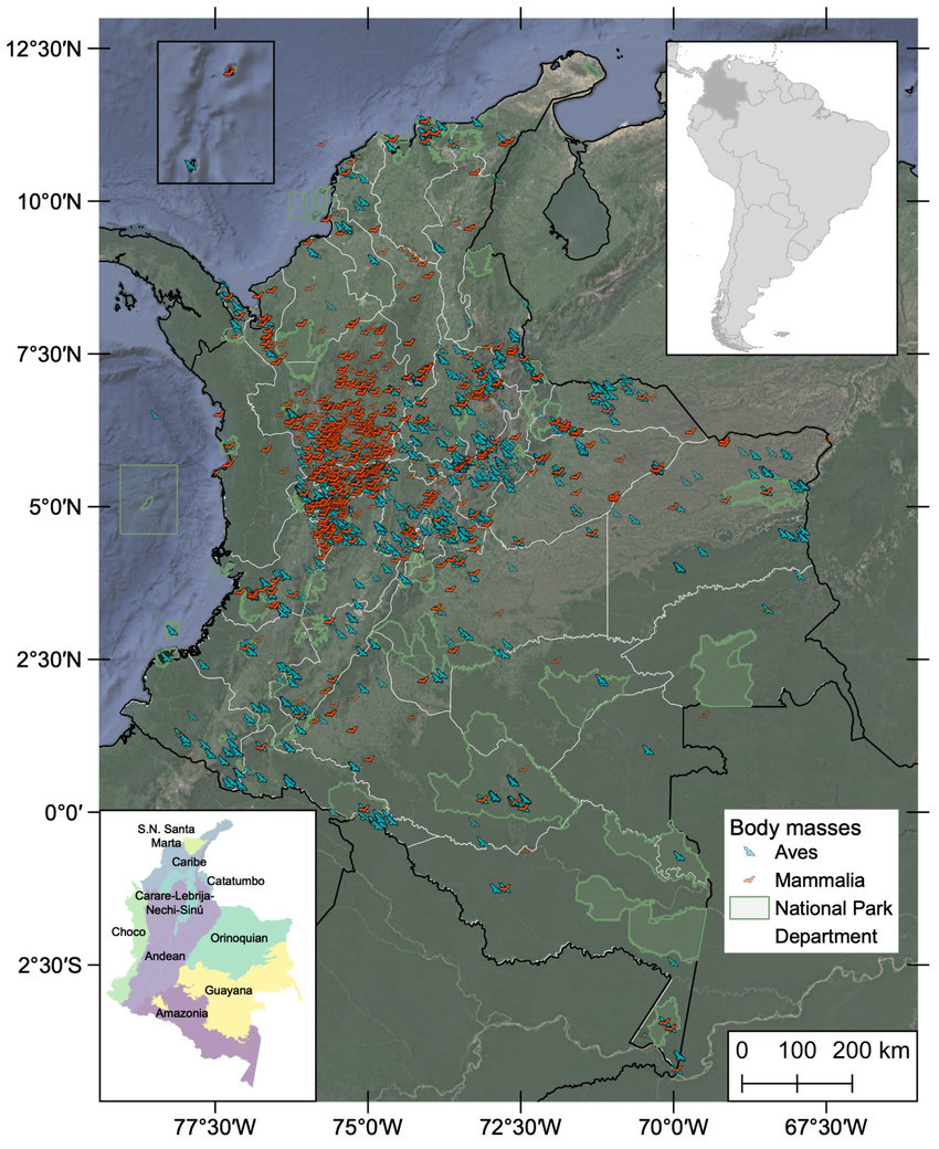 Body mass data set for 1317 bird and 270 mammal species from Colombia