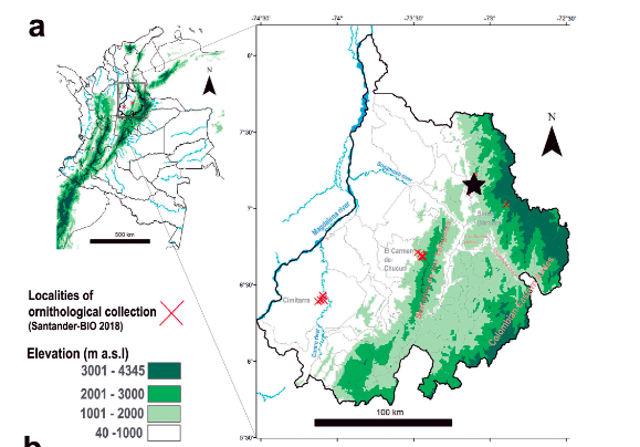 ON BIRDS OF SANTANDER-BIO EXPEDITIONS, QUANTIFYING THE COST OF COLLECTING VOUCHER SPECIMENS IN COLOMBIA