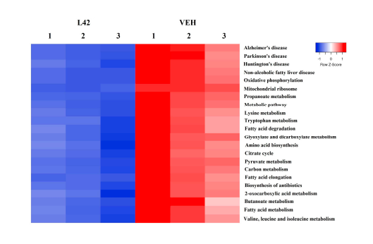 Proteomic analysis reveals an extract of the plant Lippia origanoides suppresses mitochondrial metabolism in triple-negative breast cancer cells