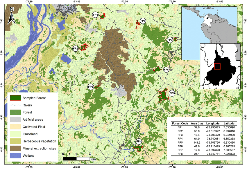 Forest fragmentation erodes mammalian species richness and functional diversity in a human-dominated landscape in Colombia