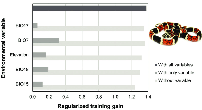 Predicting distributions of rare species: the case of the false coral snake Rhinobothryum bovallii (Serpentes: Colubridae)