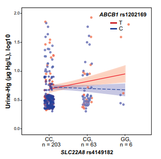 Genetic Polymorphisms in Multispecific Transporters Mitigate Mercury Nephrotoxicity in an Artisanal and Small-Scale Gold Mining Community in Colombia
