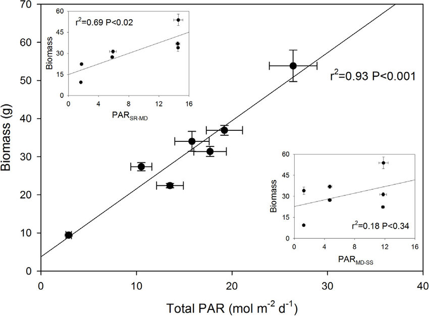 Morphological and physiological acclimations of coffee seedlings to growth over a range of fixed or changing light supplies