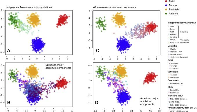 PIMA: A population informative multiplex for the Americas