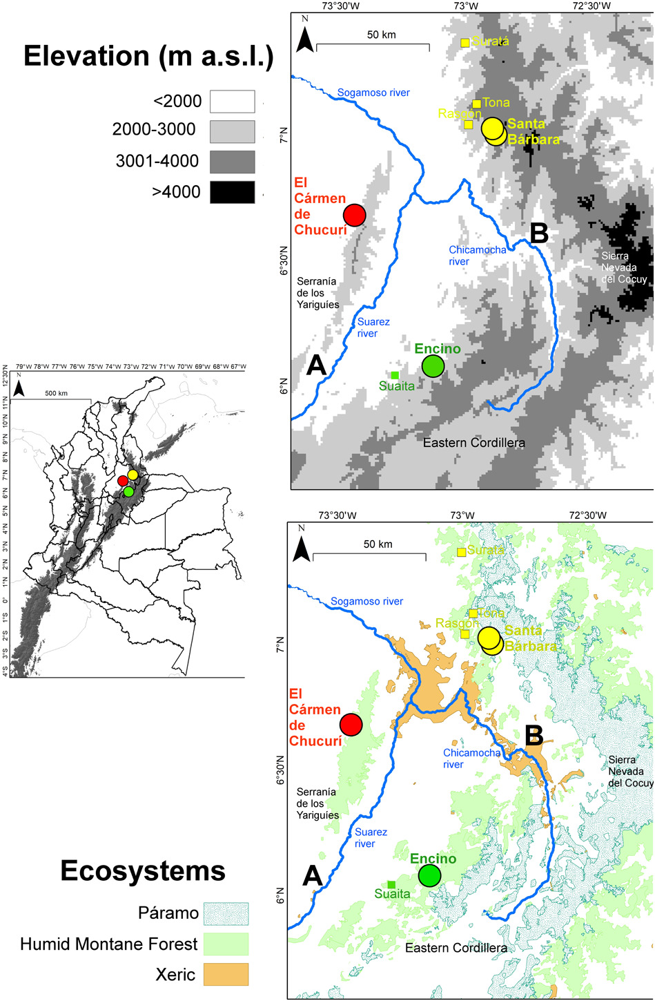 Role of the Chicamocha River Canyon on the phylogeography of humid montane forest birds in Colombia.