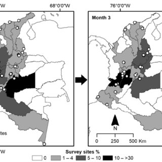 Experiences of surveying urban birds during the anthropause in Colombia.